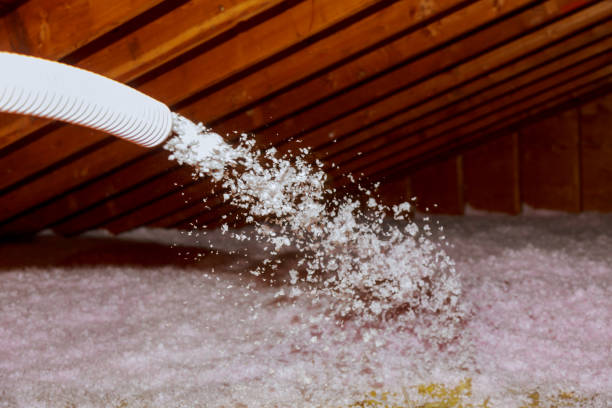 Best Residential Insulation in Neoga, IL